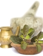 Ayurveda Peter 157