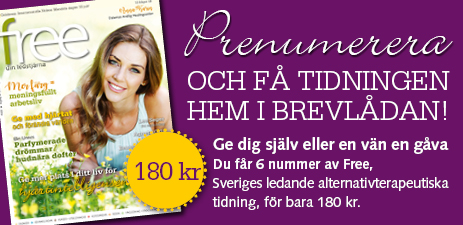 Prenumerera
