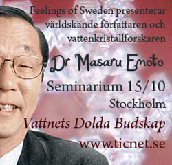 Feelings of Sweden