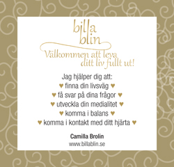 www.billablin.se