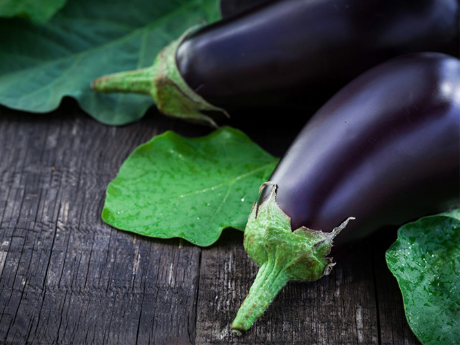 Aubergine