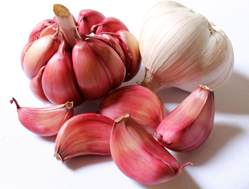 garlic