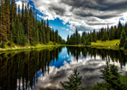 natur