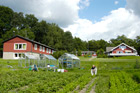 Nyhetsbrev 100705